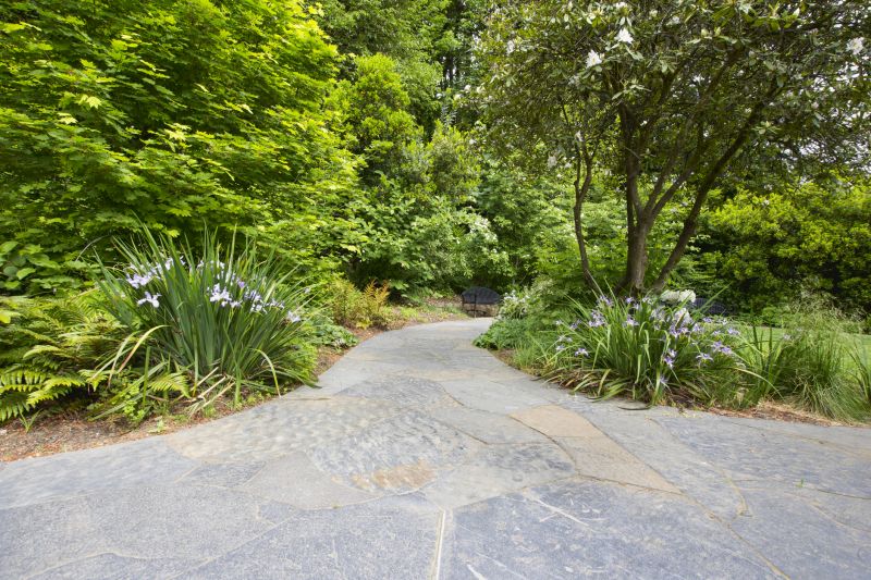 Paved Landscaping